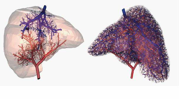 A Giant Step For Artificial Organs: Blood Vessels Synthesized By 3D Printing-4