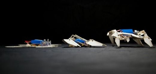 Researchers Harvard And MIT Develop World's First Origami Inspired Robots-