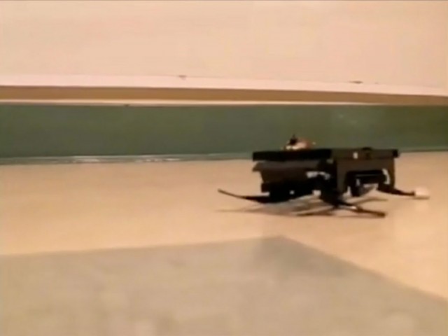 DASH: Cockroach Inspired Robot Can Survive A Fall Of 28 Meters-