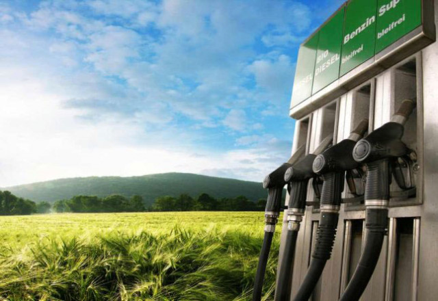 A Revolutionary Way To Produce Biofuel Directly From Grass!!!-