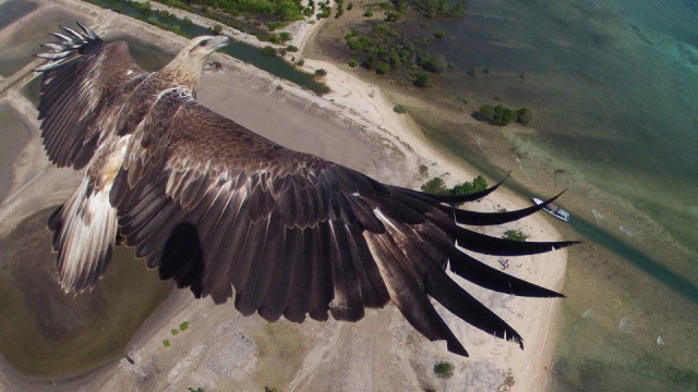 Stunning Aerial Photographs Taken By Drones Offer A Unique Perspective-2