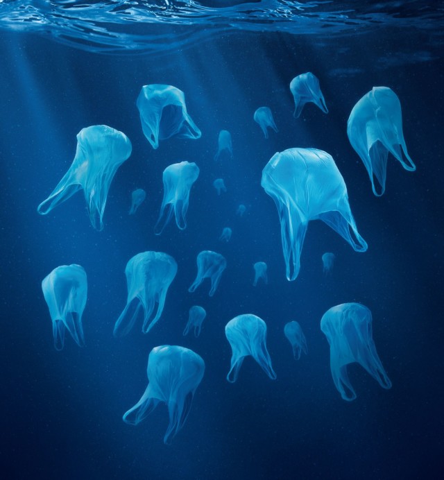International Study Reveals 269,000 Tonnes Of Plastic Waste In World Oceans-