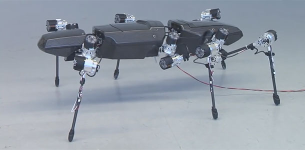 Hector: This Bio Inspired Hexapod Moves Swiftly Like A Real Insect-