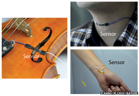 Inspired From Spider Legs Scientists Develop A High Precision Sound Sensor-1