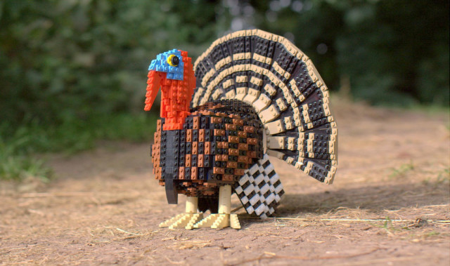 Amazing Bird Models Made Using Simple LEGO Bricks-4