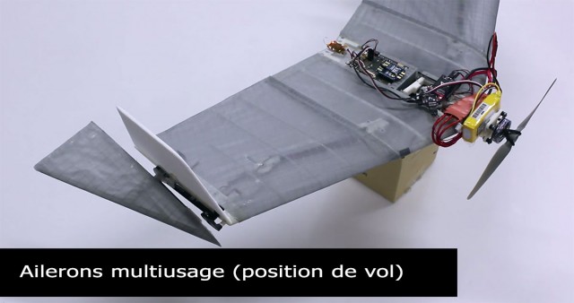 DALER-A bat inspired robot that can fly and move on the ground-10