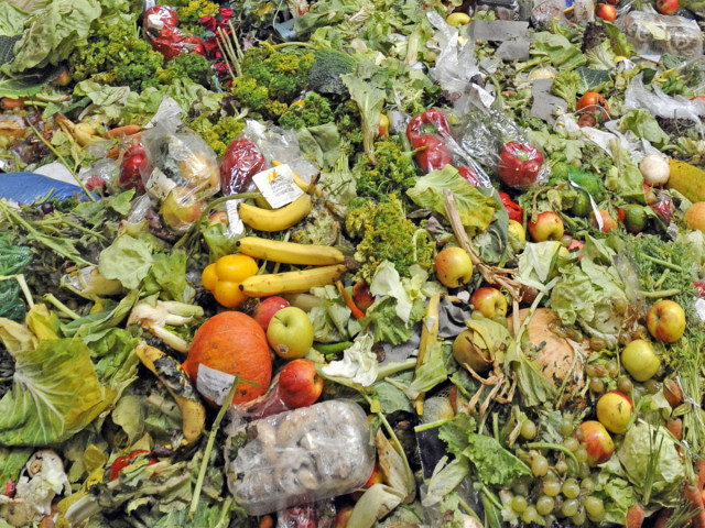 Fuels Of Tomorrow Will Be Produced From Your Own Food Waste-4