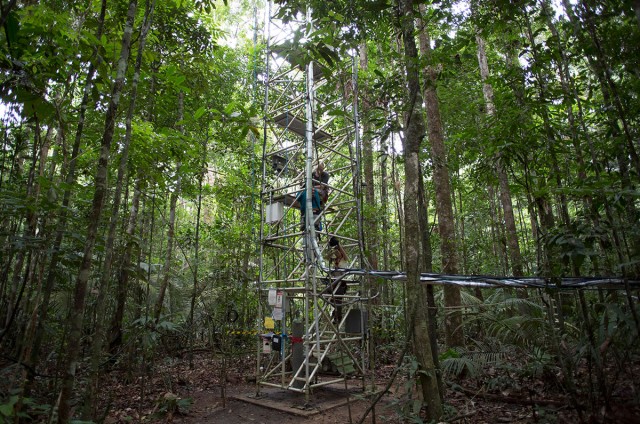 Discover This Gigantic Meteorological Tower Erected In Amazon Rainforest-2