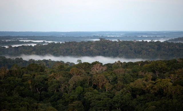 Discover This Gigantic Meteorological Tower Erected In Amazon Rainforest-5