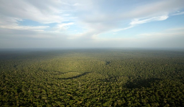 Discover This Gigantic Meteorological Tower Erected In Amazon Rainforest-6