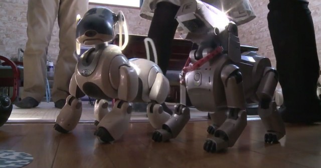 In Japan, Robot Dogs Can Now Have A Dignified Funeral Like Real Animals-2