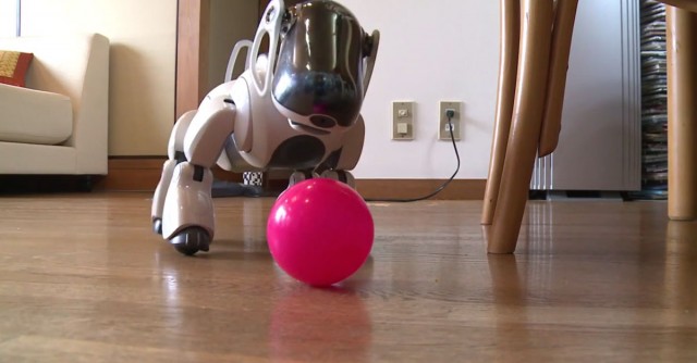 In Japan, Robot Dogs Can Now Have A Dignified Funeral Like Real Animals-3