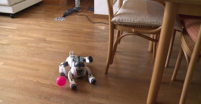 In Japan, Robot Dogs Can Now Have A Dignified Funeral Like Real Animals-6