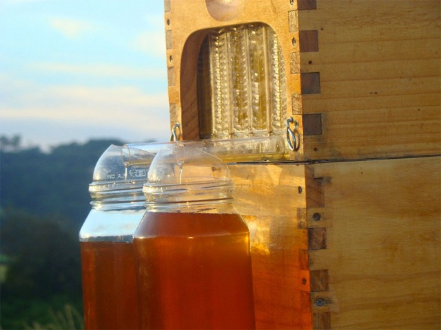 This Revolutionary Hive Enables Safe Honey Harvesting Without traumatizing Bees-3