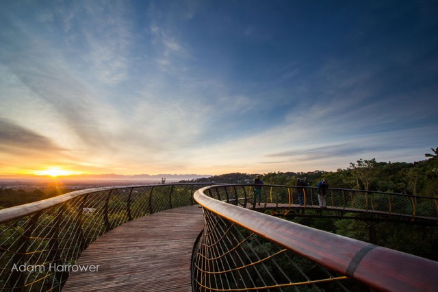 Boomslang: Take A Stroll Through This Breathtaking Walkway Above Trees-3