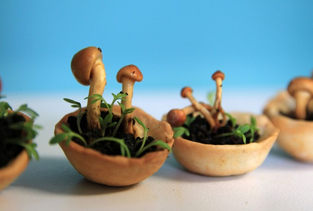 Enjoy Amazing 3D Printed Bio Food With Herbs And Mushrooms-1