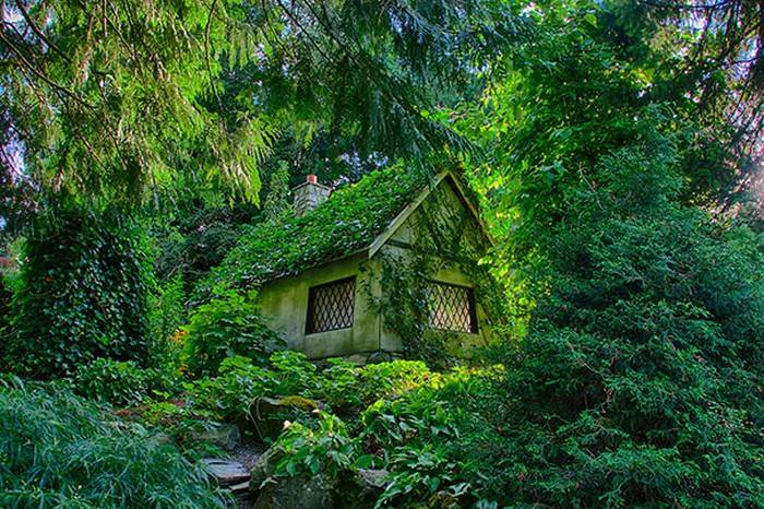 16 Mystical But Real Houses Where You'd Love To Live-5