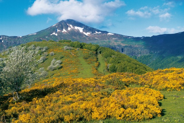 Cantal-Auvergne-Beautiful-France