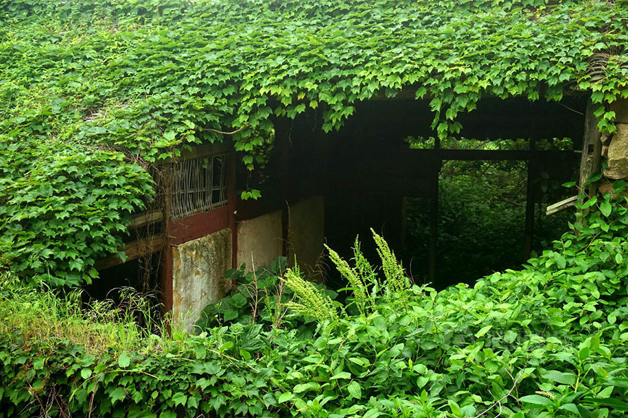 See How Nature Relcaims A Beautiful Abandoned Fishing Village In China?-3