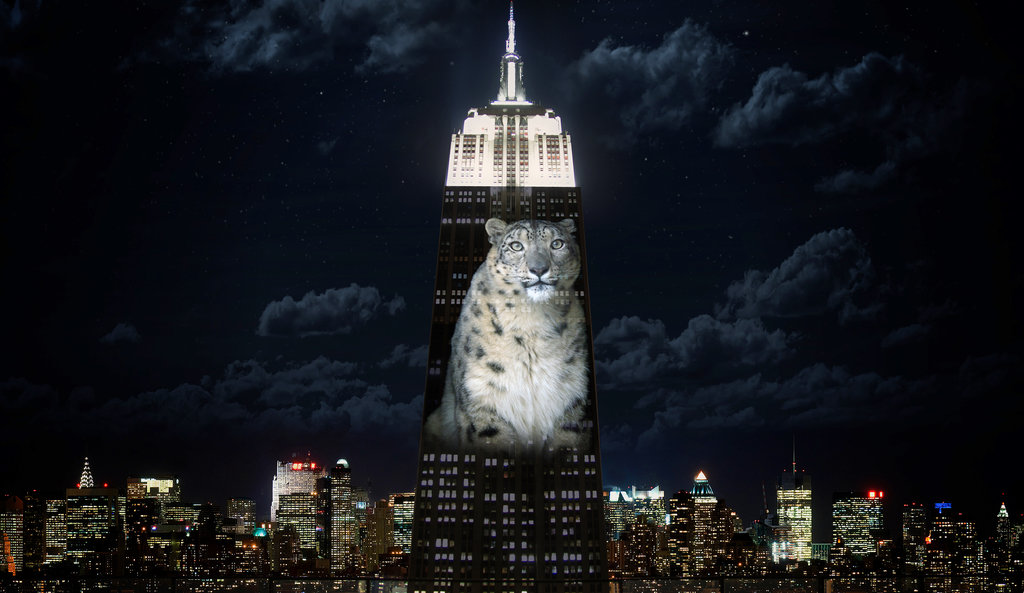 Photos Of Endangered Animals Projected On Empire State Building To Raise Awareness-