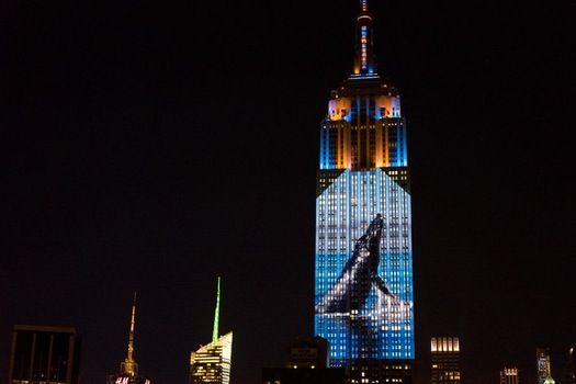 Photos Of Endangered Animals Projected On Empire State Building To Raise Awareness-1