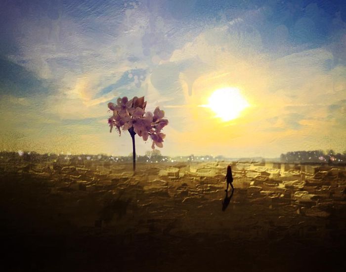 Stunning Surreal Images Of Mississippi Made Only Using iPhone-13