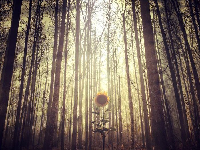 Stunning Surreal Images Of Mississippi Made Only Using iPhone-2