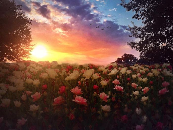 Stunning Surreal Images Of Mississippi Made Only Using iPhone-8