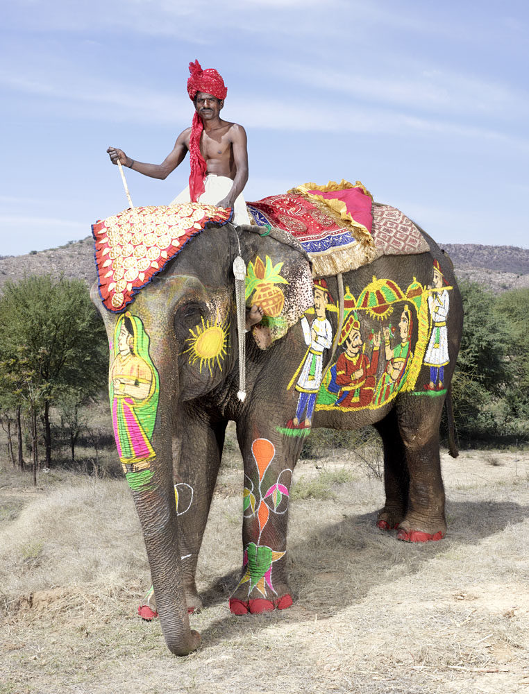 20 Elephants Decorated In Thousand Colors For The Jaipur Elephant Festival-10