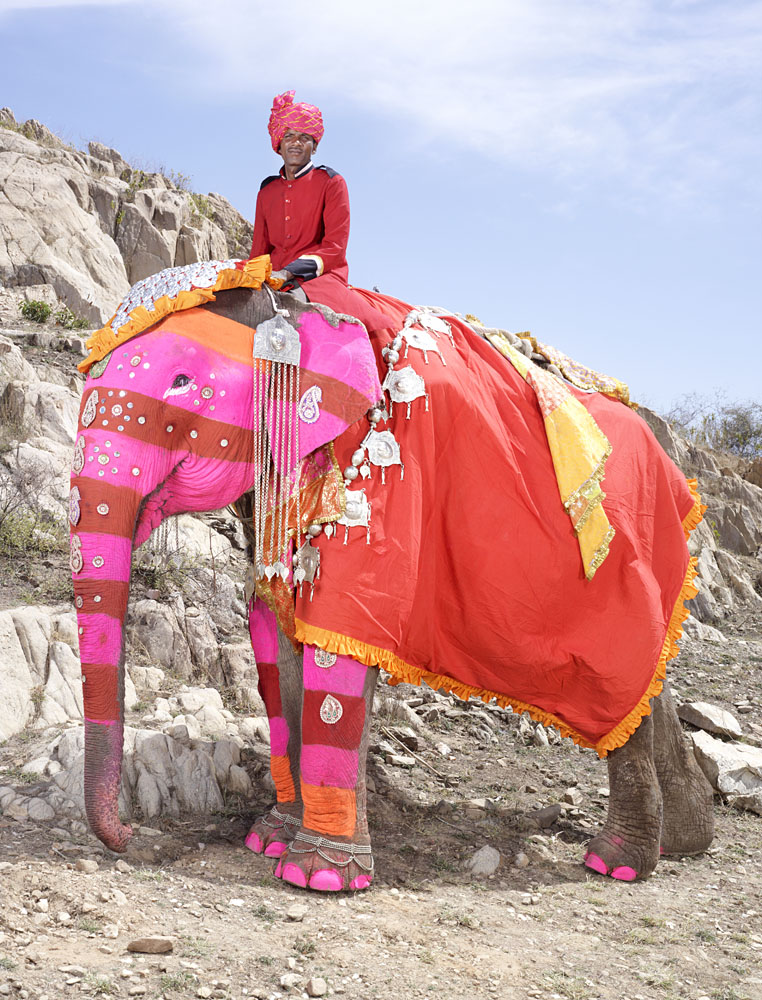20 Elephants Decorated In Thousand Colors For The Jaipur Elephant Festival-11