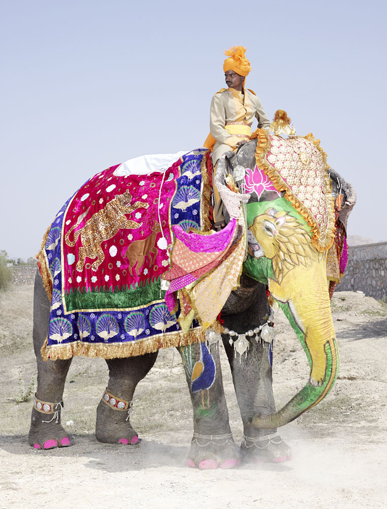 20 Elephants Decorated In Thousand Colors For The Jaipur Elephant Festival-14