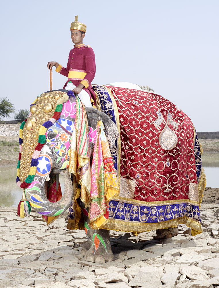20 Elephants Decorated In Thousand Colors For The Jaipur Elephant Festival-16