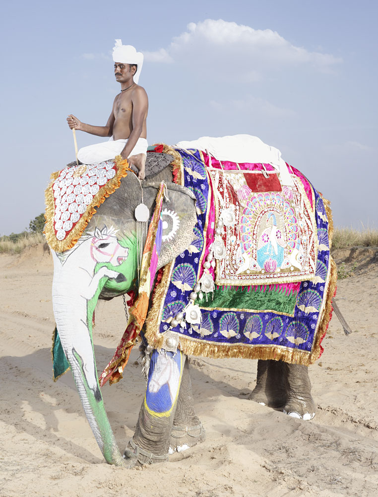 20 Elephants Decorated In Thousand Colors For The Jaipur Elephant Festival-2