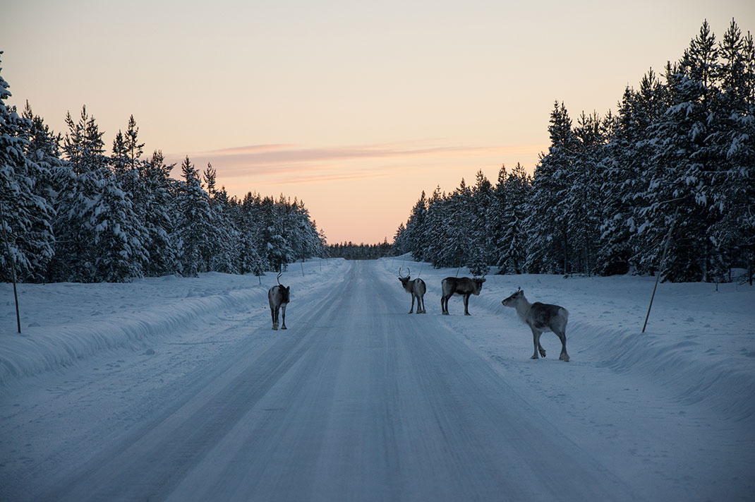 Discover Lapland, A Magnificent Nordic Region between Land And Ice-20