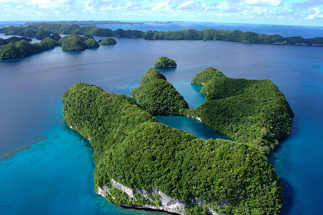 Palau islands-Discover This Gigantic Marine Sanctuary Where Wildlife Is Flourishing Away From Human Activity-17