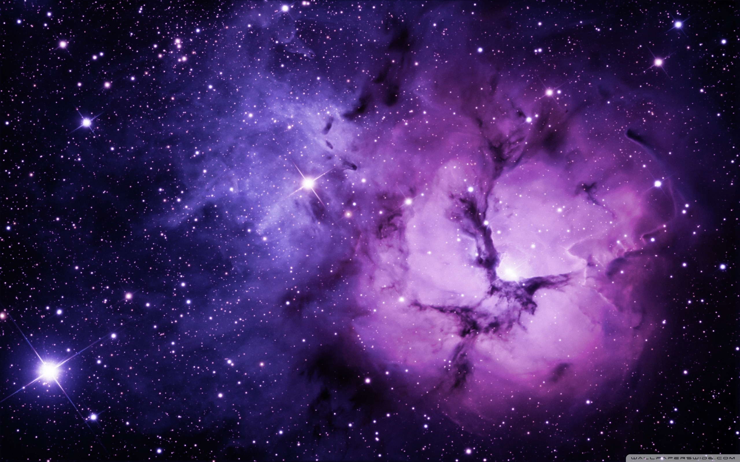 43 HD Purple Wallpaper Background Images To Download For Free
