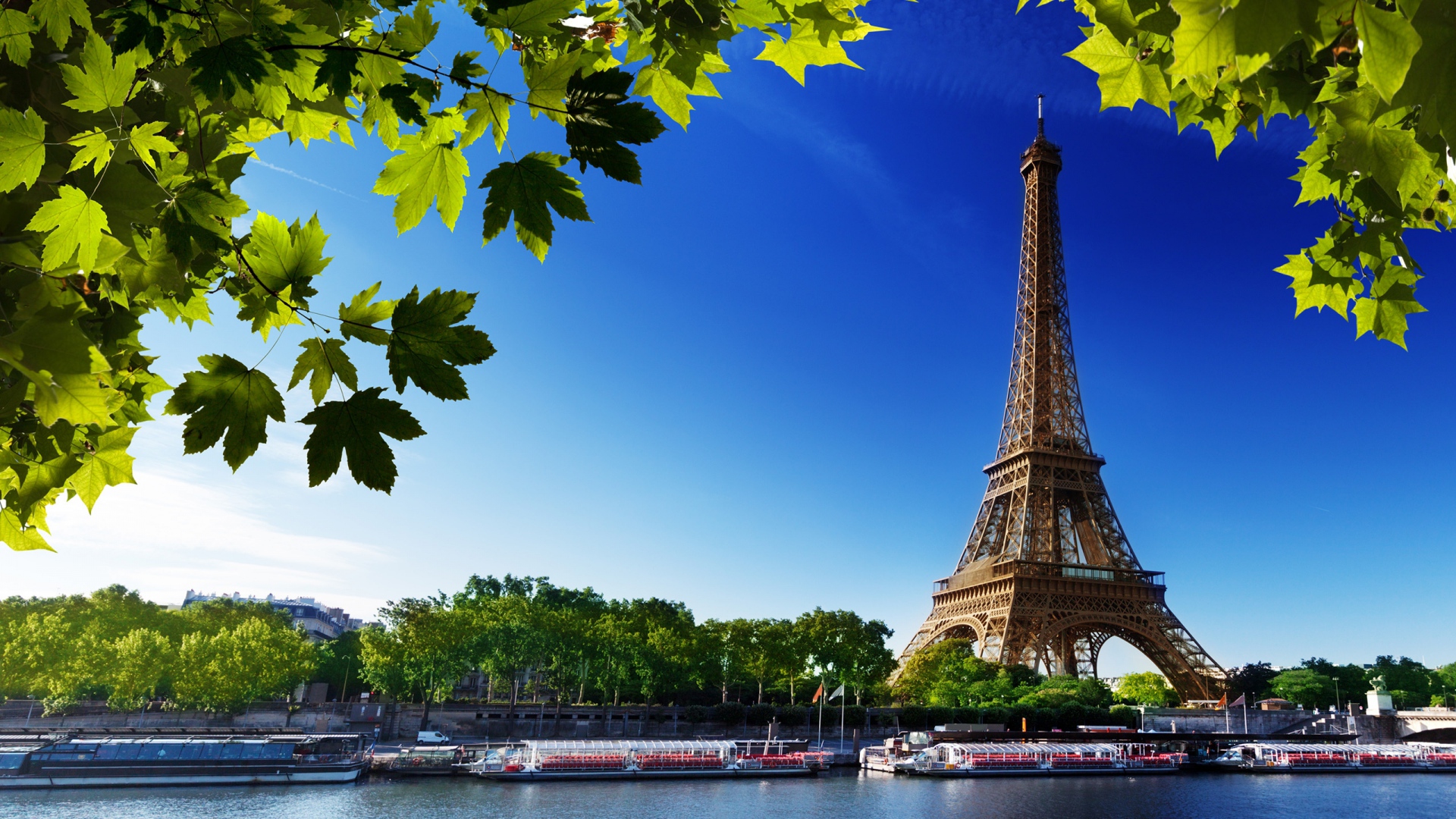35 HD Paris Backgrounds: The City Of Lights And Romance
