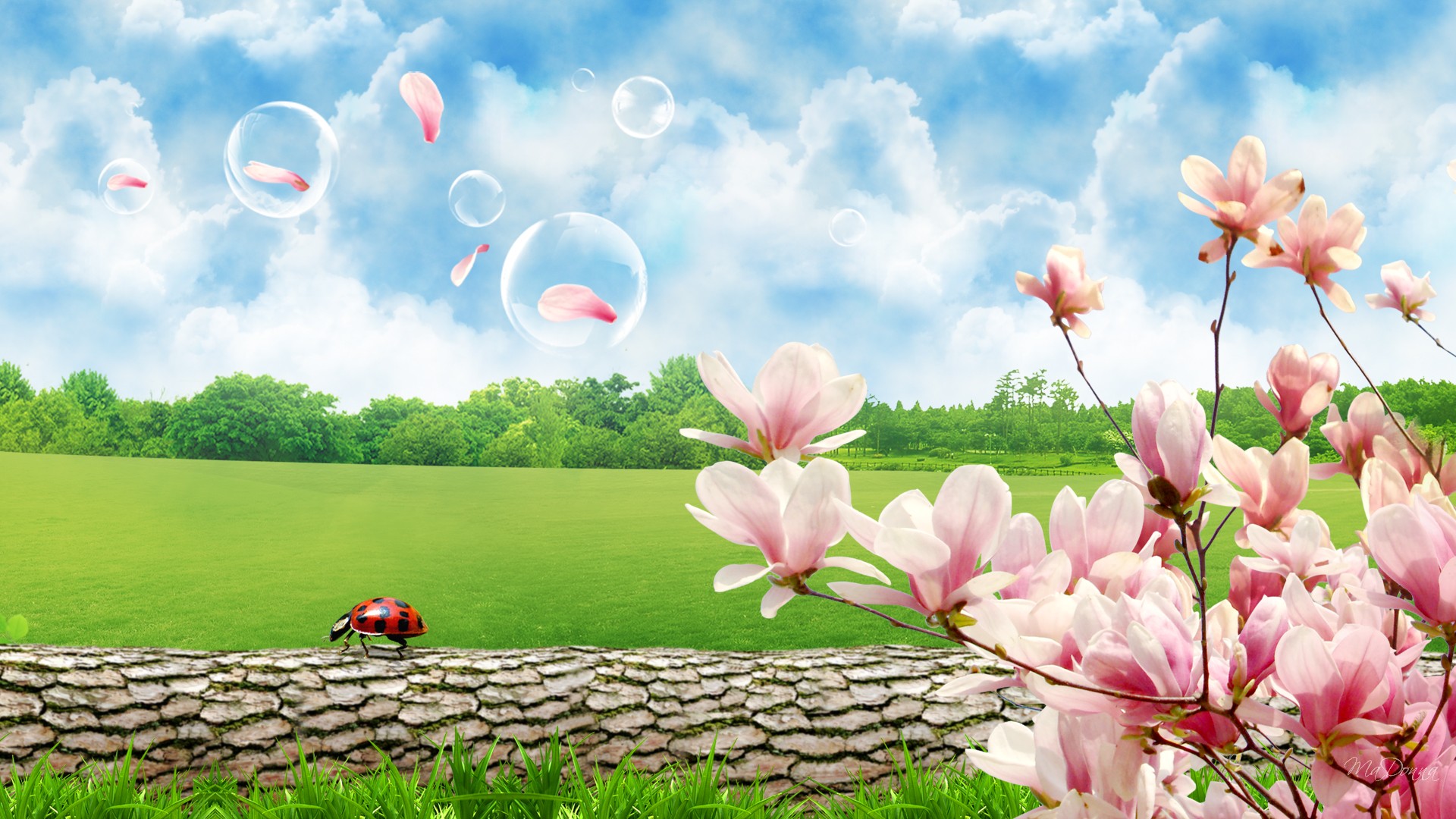 45 HD Beautiful Wallpapers/Backgrounds For Free Download