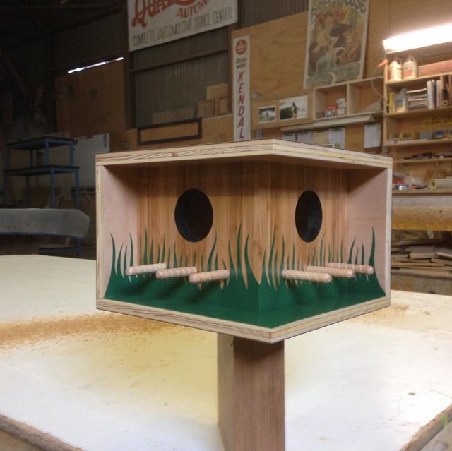 Beautiful Bird Homes 2