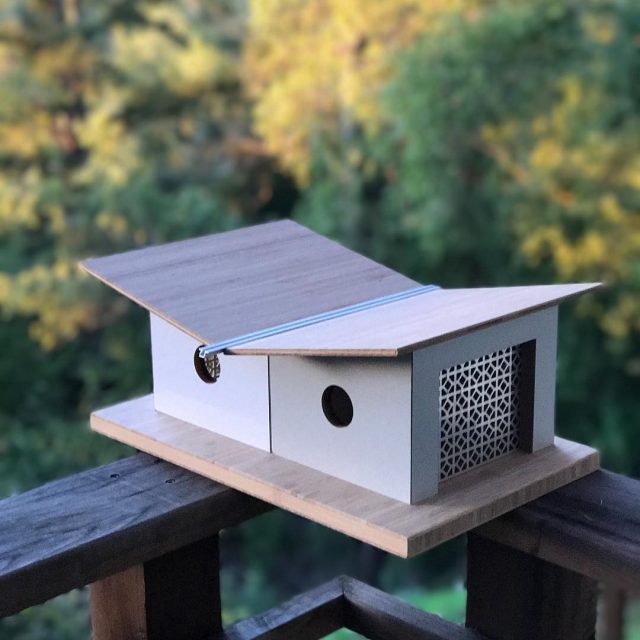 Beautiful Bird Homes 8