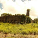 An abandoned distillery in Barbados
