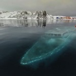 The Sunken yacht in Antarctica