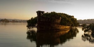 The remains of the SS Ayrfield Australia in Homebush Bay.