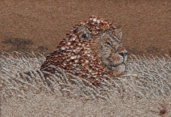 Stunning Art Work Through Shell And Sand (Photo Gallery)