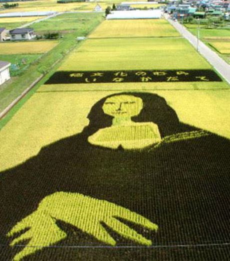 Amazing Japanese Rice Fields In The Shape Of Artistic Images (Gallery)