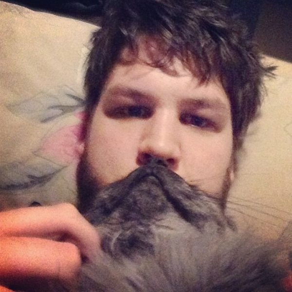Top 20 Examples of Funny Cat Beards (Photo Gallery).