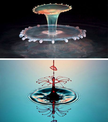 Discover 10 Stunning Water Droplet Photos (Photo Gallery)