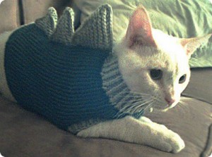 The Top Cat Sweater Designs