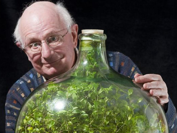 A Plant Enclosed In A Bottle For 53 years Creates Its Own Eco-System