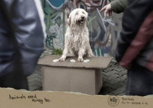 A shocking add for animal rights